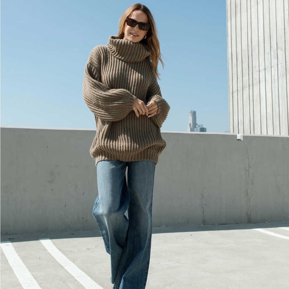 NWT Carly Jean Los Angeles “Claremont” Turtleneck Sweater in Mocha - M